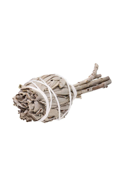 White Sage - smudging bundle Image for White Sage - smudging bundle