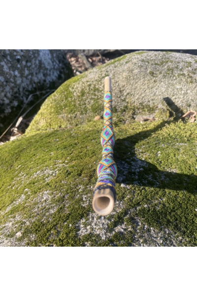 TEPI colorful from Mexico Image for TEPI colorful from Mexico